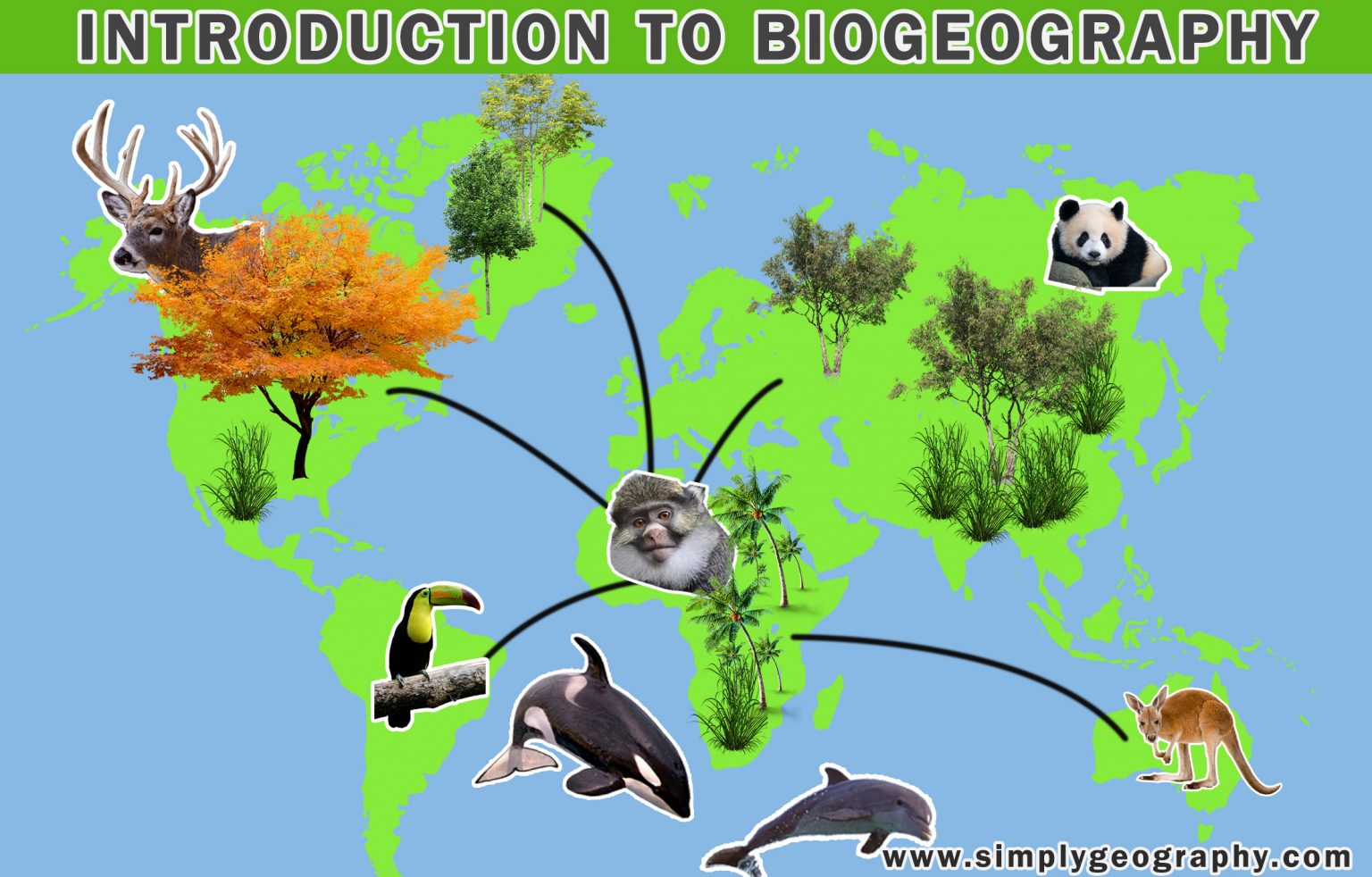 introduction-to-biogeography-a-quick-guide-to-understanding-the ...