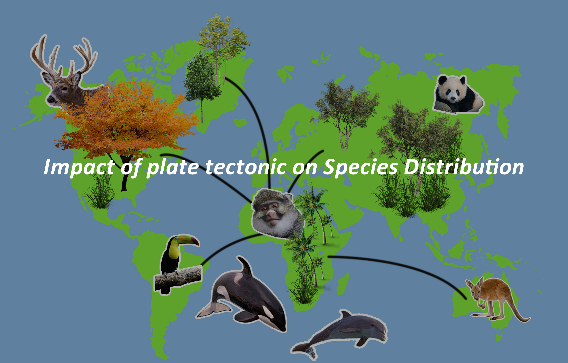 Exploring the Influence of Plate Tectonics on Biogeographic Regions