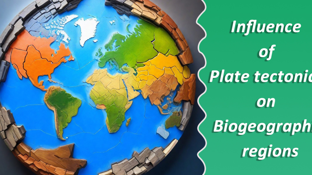 Exploring the Influence of Plate Tectonics on Biogeographic RegionsBiogeographic regions