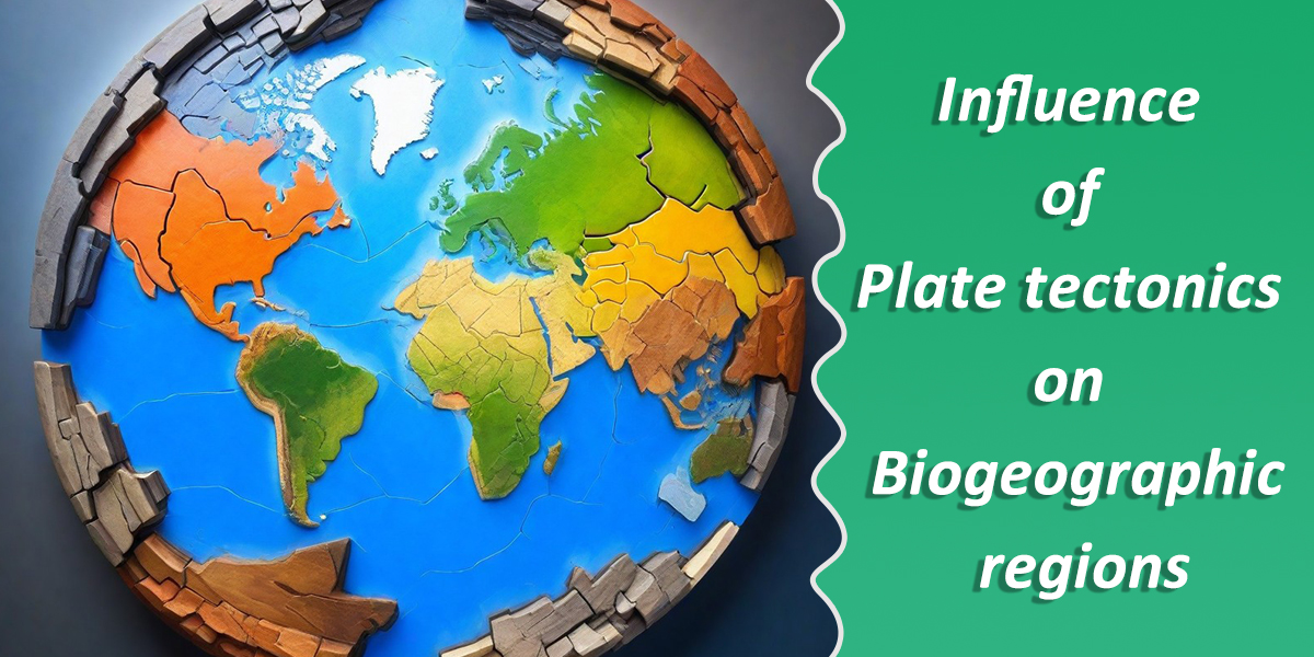 Exploring the Influence of Plate Tectonics on Biogeographic RegionsBiogeographic regions